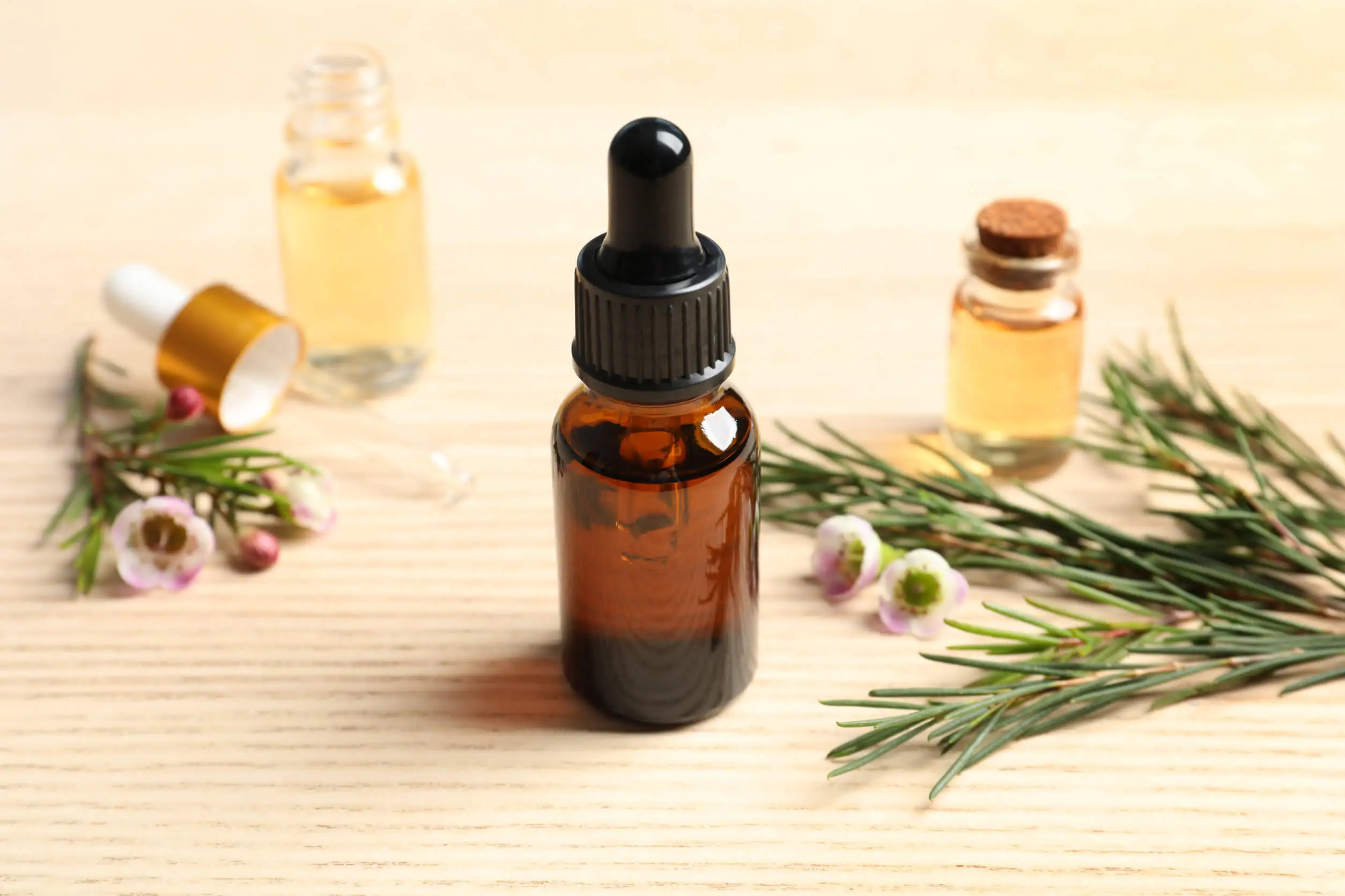 Aceite de árbol de té para eliminar carcoma de los muebles