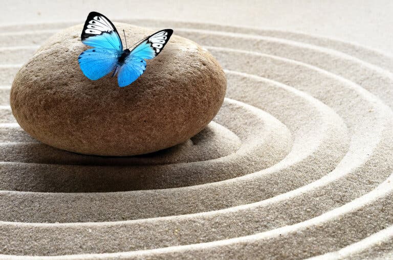 Arteterapia en piedras: nueva técnica para aliviar el estrés