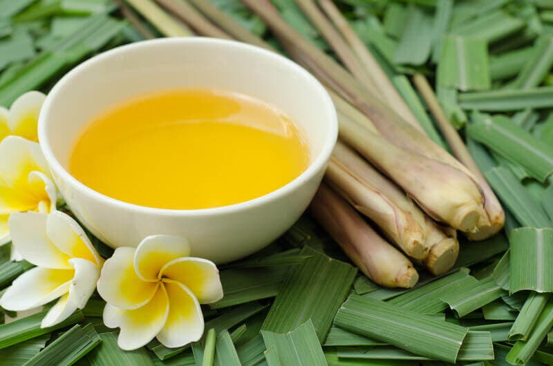 la citronella como repelente natural