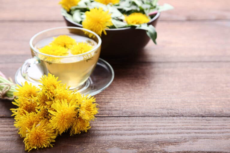 Diente de león, un milagro de la naturaleza para tu salud