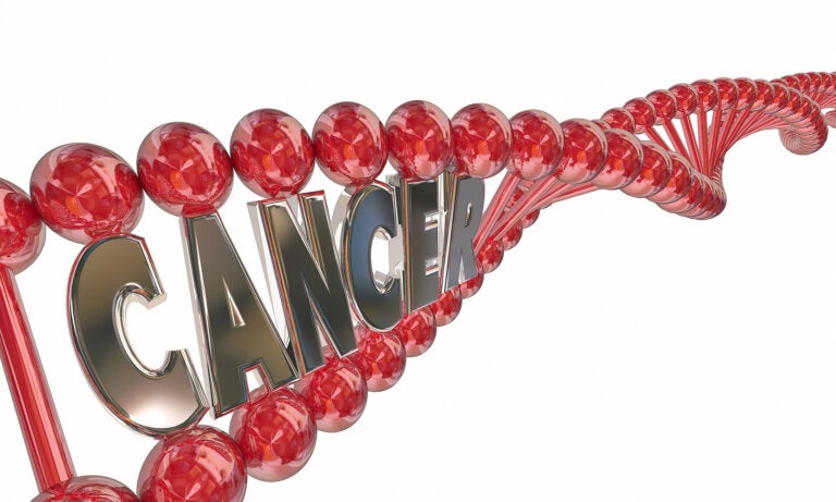 ¿Es el cáncer una enfermedad hereditaria?