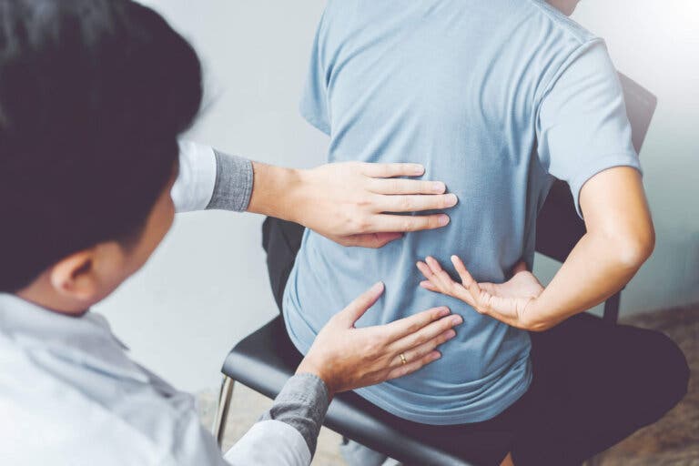 La relación entre la columna vertebral y los órganos