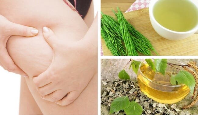 7 plantas medicinales para combatir la celulitis
