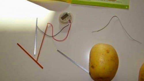 Patatas
