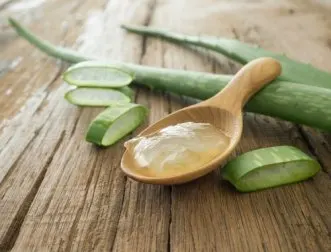 4 cremas caseras con aloe vera que no debes perderte