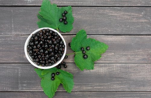 Il ribes nero è uno dei migliori antinfiammatori naturali