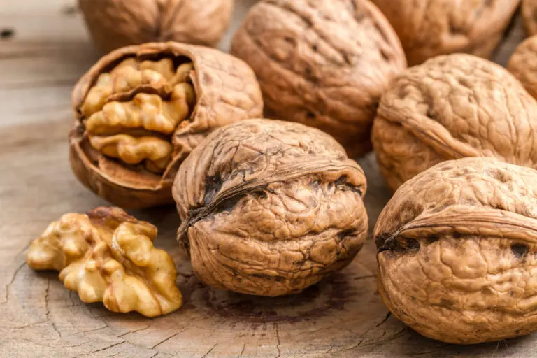 Mejores alimentos que sacian el apetito