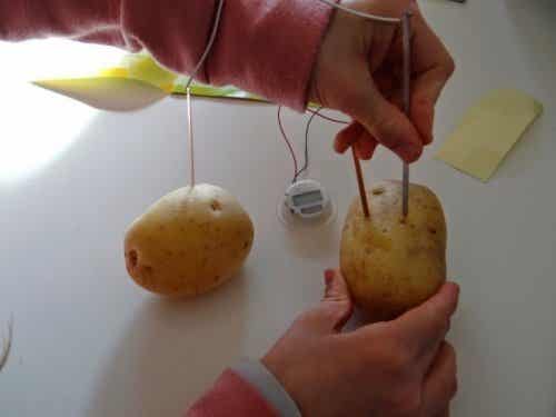 patata ilumando