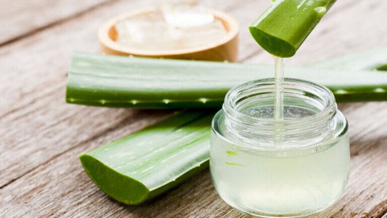 ¿Hay plantas que pueden curar y cicatrizar tus heridas?