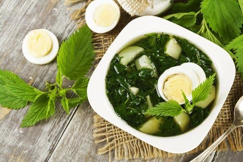 sopa de ortiga