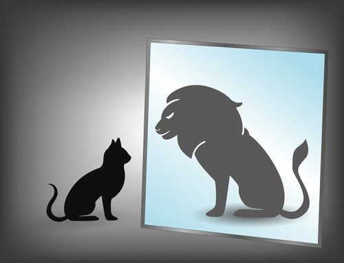 Cómo identificar el síndrome