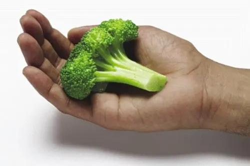 food-portions-with-hand