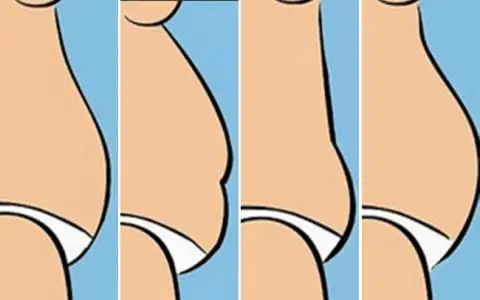 ¿Qué te indica tu tipo de barriga? ¡Descúbrelo!