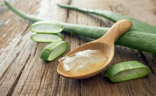 Some aloe vera jelly in a wooden spoon.
