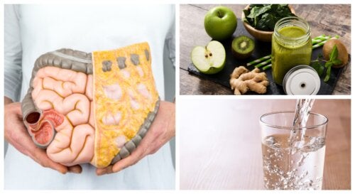 ¿Cómo limpiar el colon de forma natural?