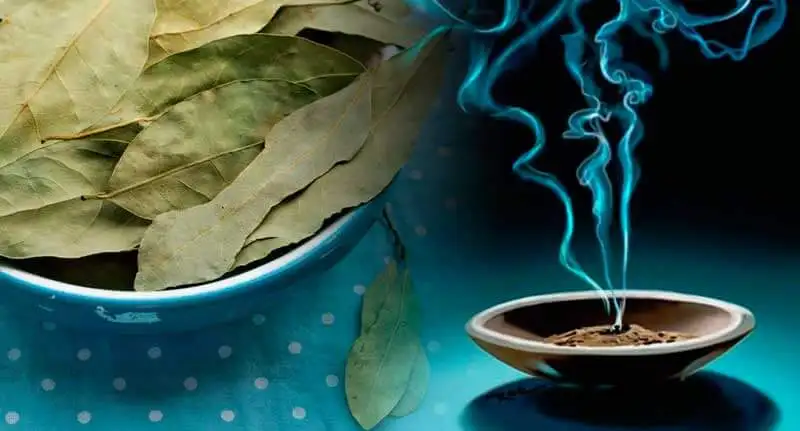 Olor de laurel reduce la ansiedad