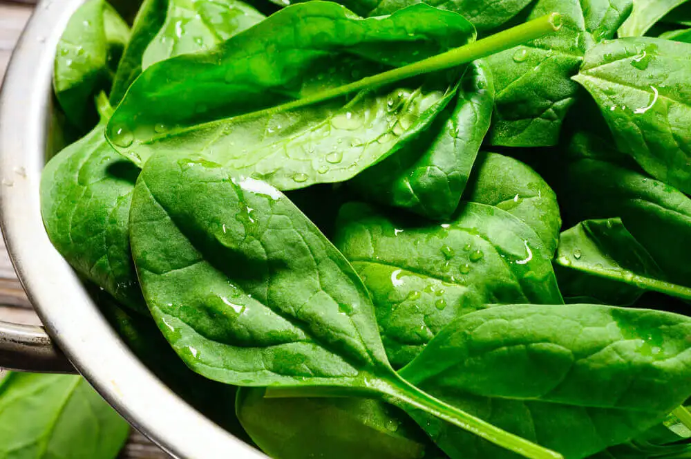 Dicas para preparar uma tigela de Buda incluem o uso de alimentos verdes