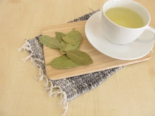 infusión de laurel