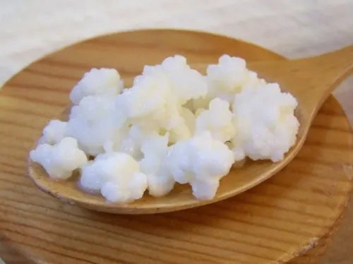 kefir