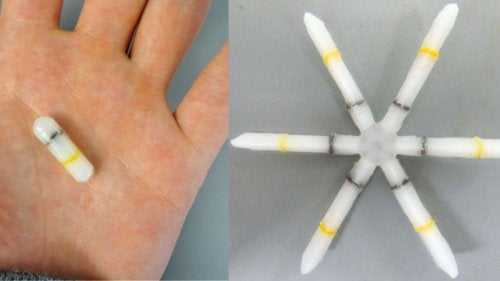 ¡Asombroso! Se crea una cápsula que tratará varias enfermedades durante meses en una sola toma