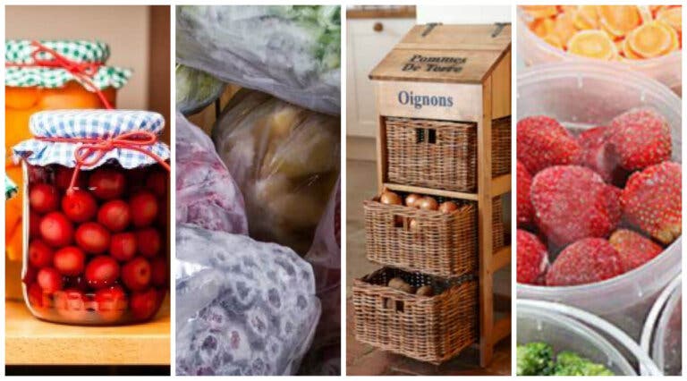 7 trucos infalibles para conservar las frutas y verduras por más tiempo