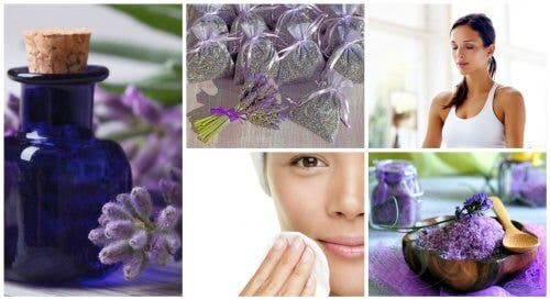 7 usos domésticos de la lavanda que te gustará conocer