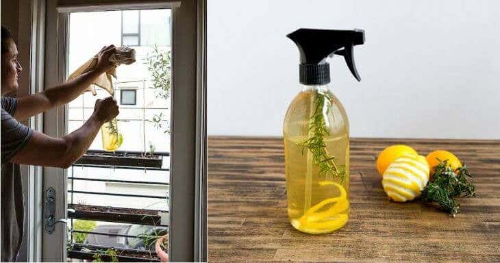 Aprende a preparar un espray desinfectante para dejar un agradable aroma en tu hogar
