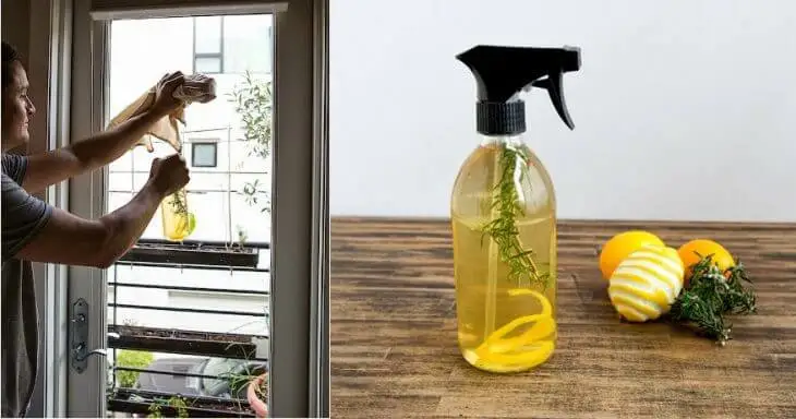 Aprende a preparar un espray desinfectante para dejar un agradable aroma en tu hogar