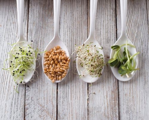 Decorar los platos para sumar nutrientes
