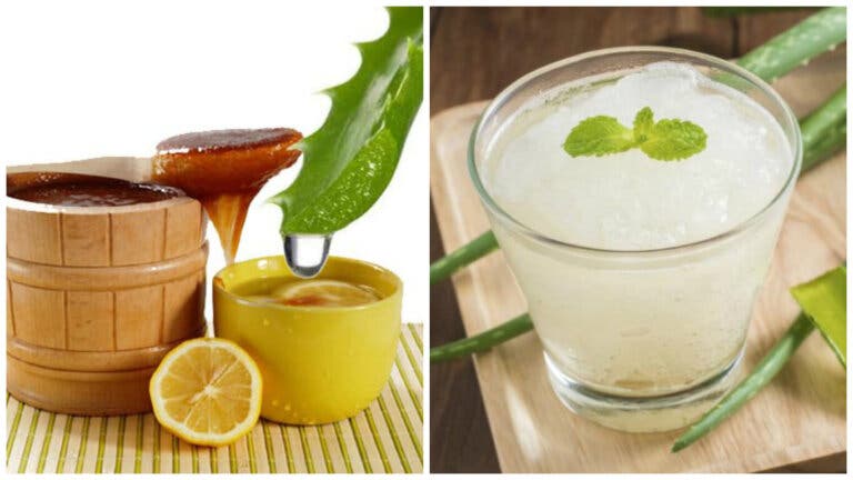 Delicioso batido multivitamínico para mejorar la visión y el metabolismo
