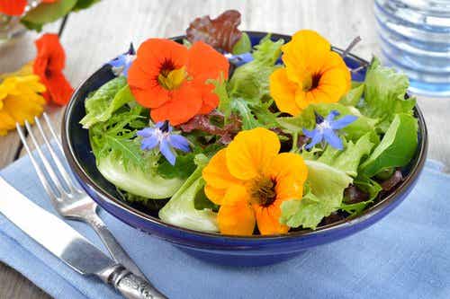 Ensaladas con flores, germinados y semillas