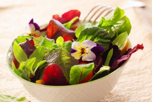 Flores comestibles