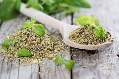 El orégano tiene propiedades excelentes para la salud digestiva y puede ayudarte a vencer la diverticulitis.