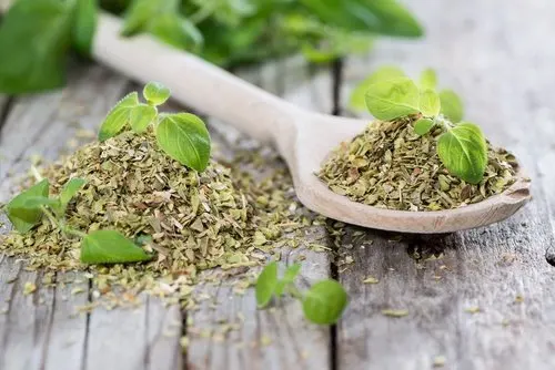 El orégano tiene propiedades excelentes para la salud digestiva y puede ayudarte a vencer la diverticulitis.