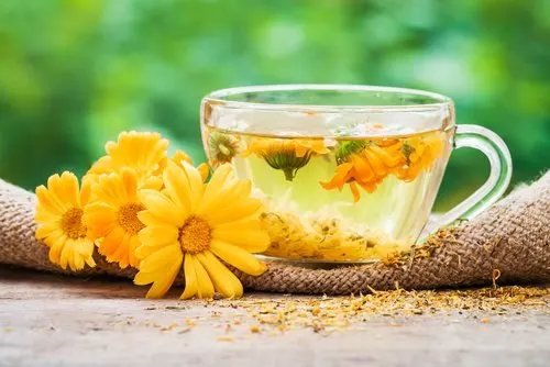 Té de caléndula