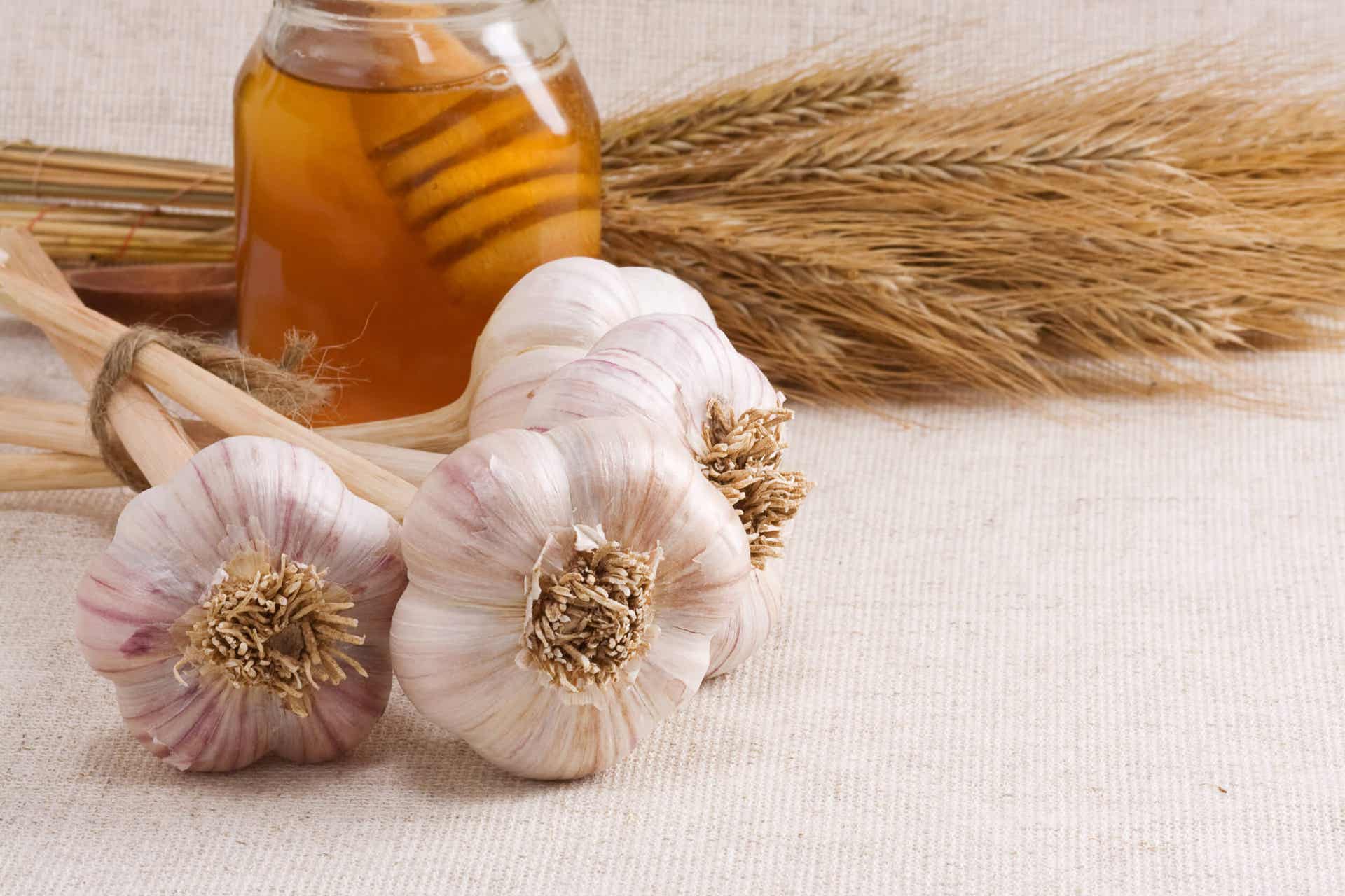 Los increíbles beneficios del ajo con miel en ayunas