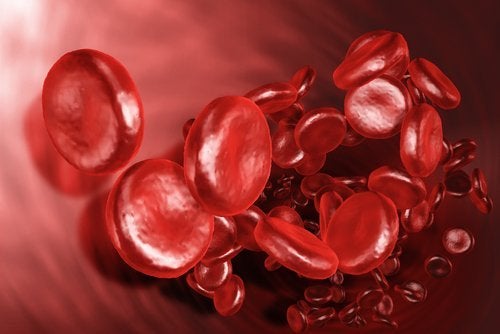 Aumentar los glóbulos rojos