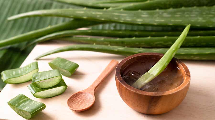 5 Beneficios Del Gel De Aloe Vera Para Cuidar Tu Piel 6373