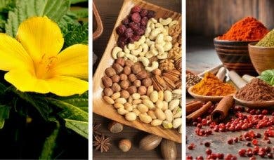 Los 9 mejores antidepresivos naturales