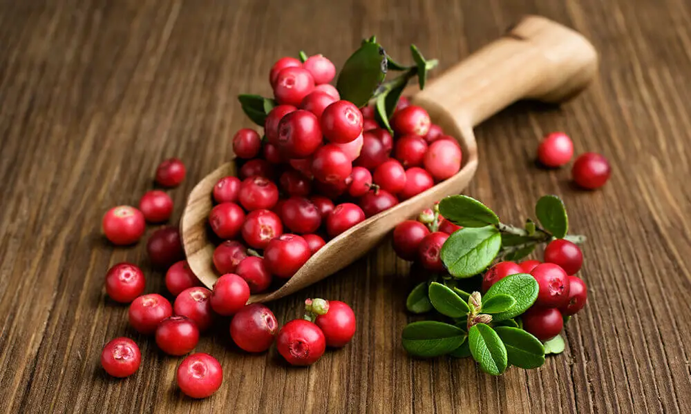 Propiedades nutricionales del jugo de arándanos