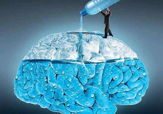 5 maravillosos efectos que notará tu cerebro cuando bebas agua