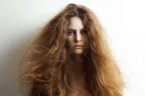 5 ingredientes naturales para tratar el cabello seco