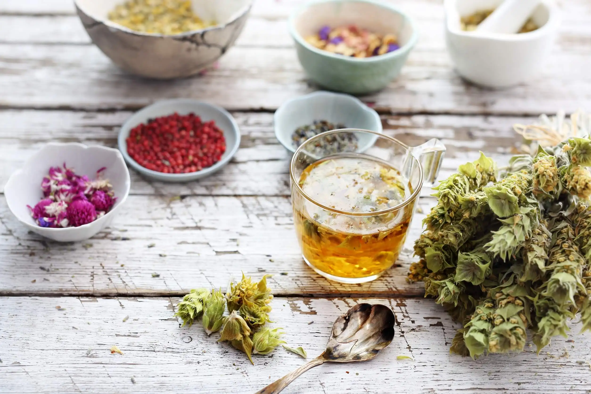 Los glóbulos rojos aumentan con infusión de genciana