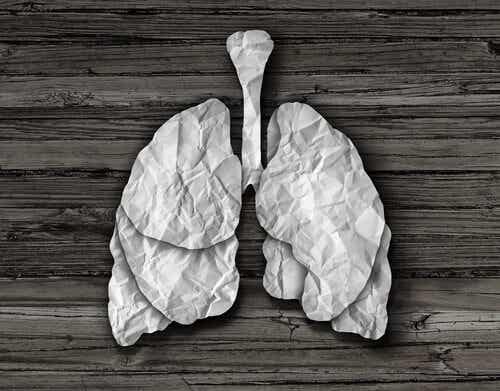 Remedios naturales para limpiar los pulmones