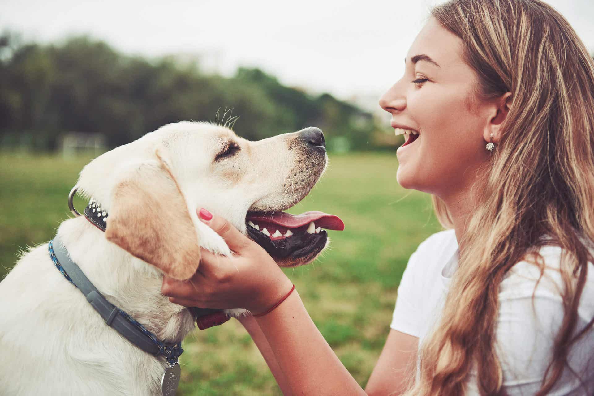 La terapia asistida con perros ayuda a superar el paso del instituto a la facultad