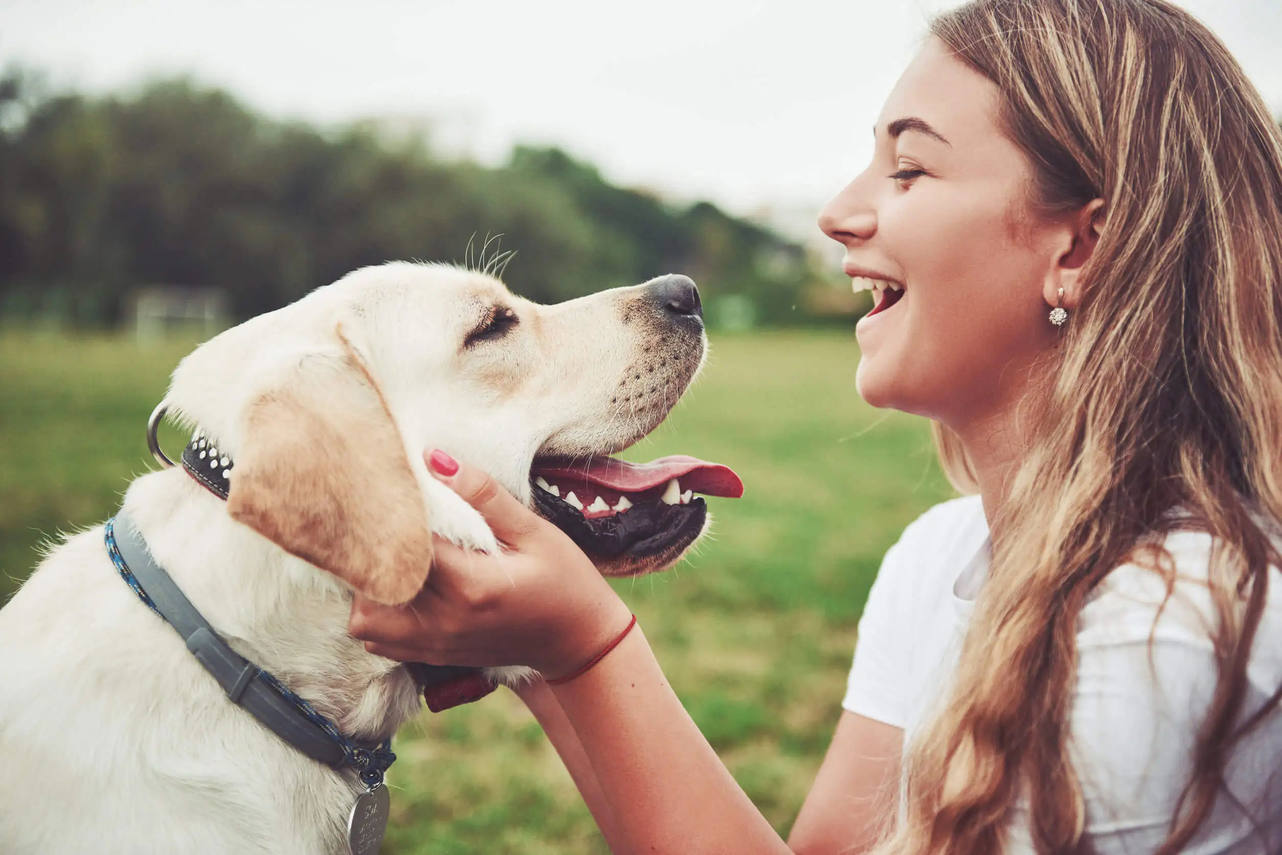 Menina com seu cachorro