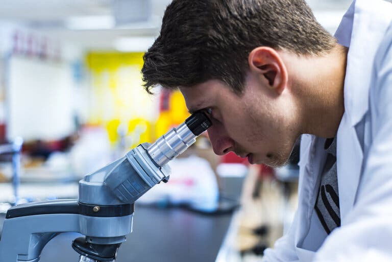 Nanoimanes para limpiar la sangre y sustituir a los antibióticos
