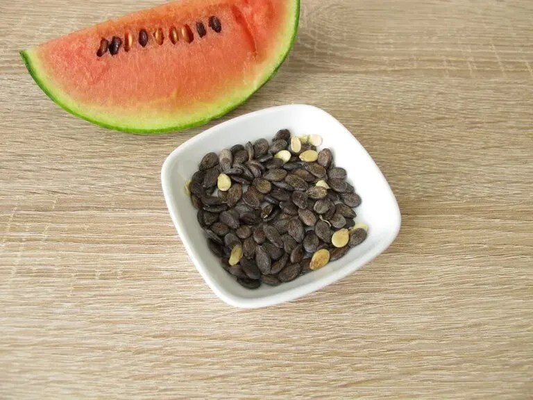 6 beneficios de las semillas de sandía hervidas en agua