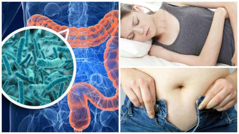 Síntomas que te aquejan por el sobrecrecimiento bacteriano en el intestino