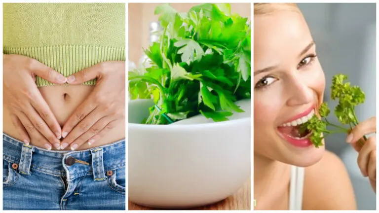 8 cosas buenas que te ocurren cuando consumes perejil